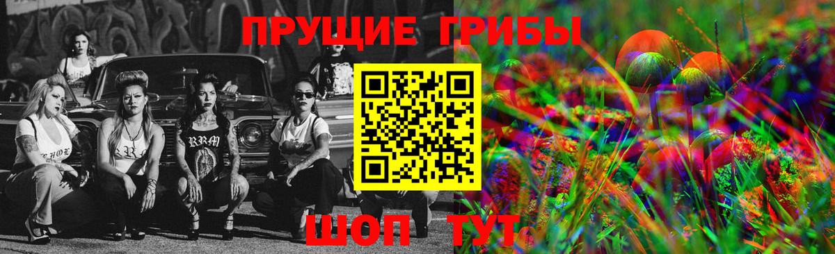 Псилоцибиновые грибы MAGIC MUSHROOMS  Вход с VPN  где купить наркотик  Глазов  Псилоцибиновые грибы MAGIC MUSHROOMS 